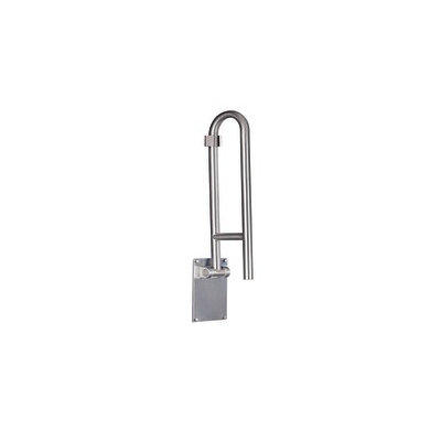Creative Specialties by Moen 30" Grab Bar