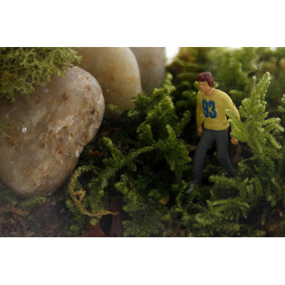 Twig Terrariums Tropisma Male DIY Kit