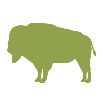 Avalisa Silhouette - Buffalo Stretched Wall Art