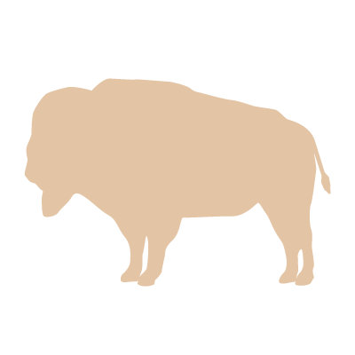 Avalisa Silhouette - Buffalo Stretched Wall Art