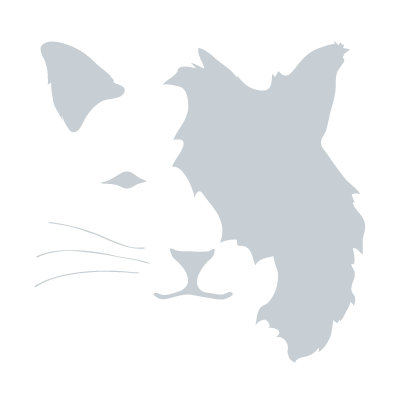 Avalisa Animal Face - Cat Stretched Wall Art