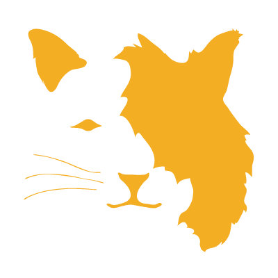 Avalisa Animal Face - Cat Stretched Wall Art