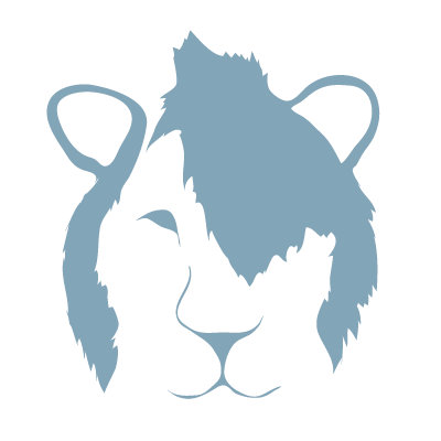 Avalisa Animal Face - Punk Lion Stretched Wall Art