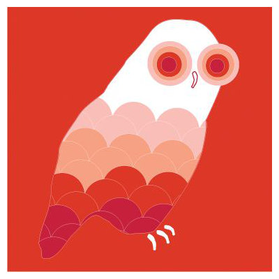 Avalisa Animal - Owl Stretched Wall Art