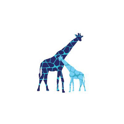 Avalisa Animal - Reticulated Giraffe Stretched Wall Art