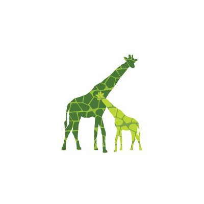 Avalisa Animal - Reticulated Giraffe Stretched Wall Art