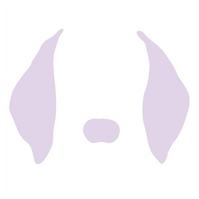 Avalisa Animal Face - Floppy Ears Stretched Wall Art