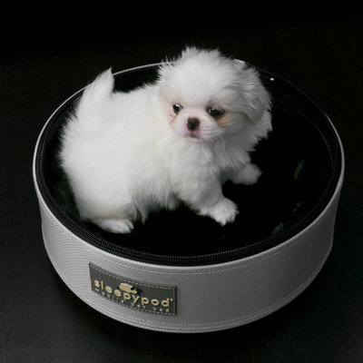 Sleepypod Mini Mobile Pet Bed/Carrier  in Arctic White