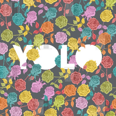 DENY Designs Bianca Green Yolo Duvet Cover Collection
