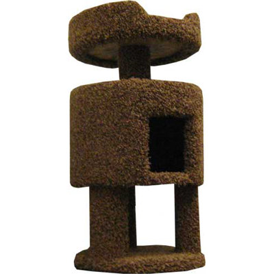 Contemporary Cat House