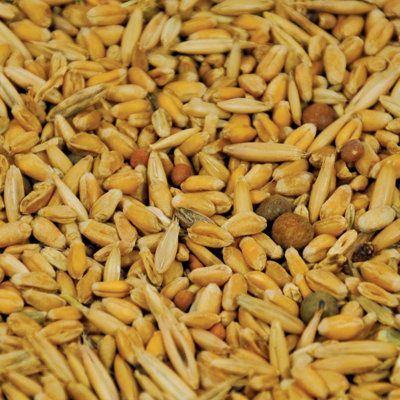 PlotSpike Forage Feast Food Plot Seed (40 lbs)