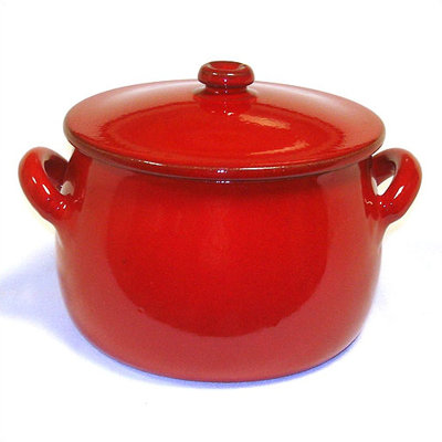Piral 3-qt. Soup Pot with Lid