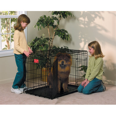 Midwest Homes For Pets Life Stages Fold & Carry Double-Door Dog Crate