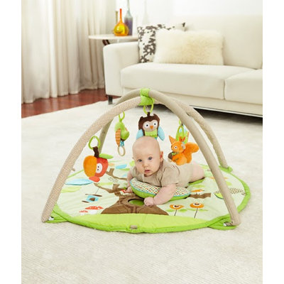 Skip Hop Treetop Friends Activity Gym