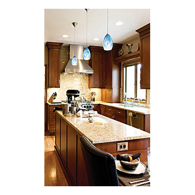 Tech Lighting Firebird 1 Light Two-Circuit Monorail Pendant
