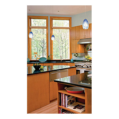 Tech Lighting Firebird 1 Light Two-Circuit Monorail Pendant