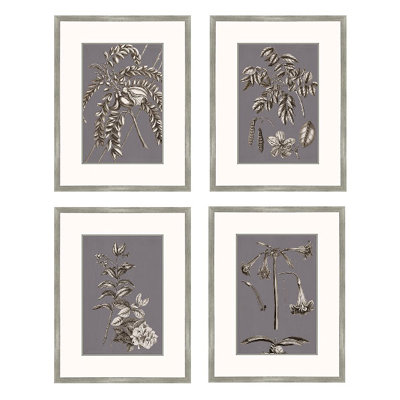 Big Fish Art Buchoz Flowers on Gray Plum I Wall Art Collection