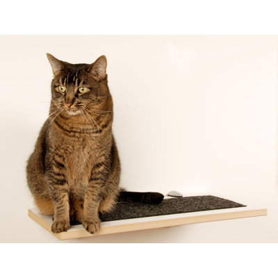 Square Cat Habitat Buddha Wall Perch