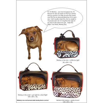 Pet Flys Sailor Blue Pet Carrier