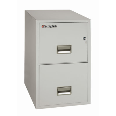 Sentry Safe 1Hr Fireproof Key Lock 2 Drawer Letter File Safe