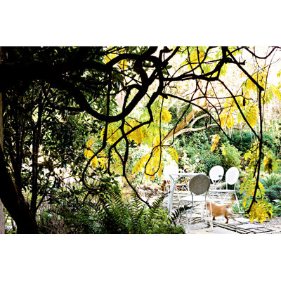 Moroso Rain Table