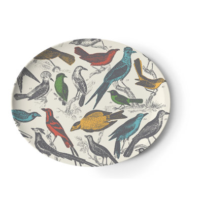 Thomas Paul Ornithology Tray