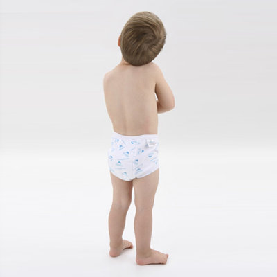 Mom Innovations Potty Training in One Day - The Complete System for Boys with DVD