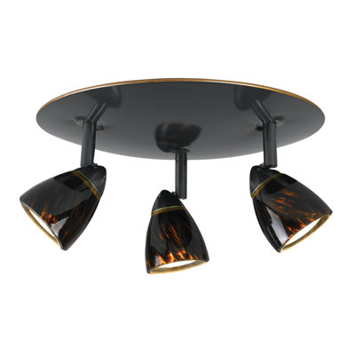 Serpentine Three Light Track Light with Brown Spot Glass in Rust