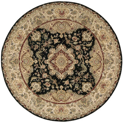 Nourison Nourison Black/Tan Rug