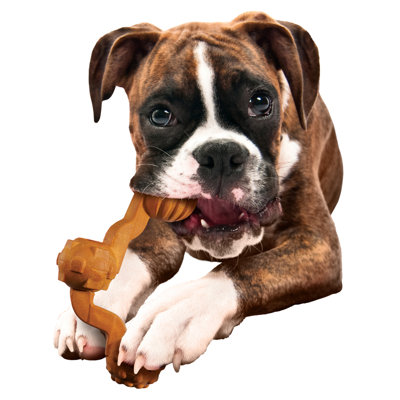 Precision Pet Products SpinZ Large Dog Treat
