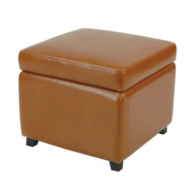 Safavieh Jonathan Leather Cube Ottoman
