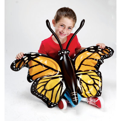 Inflatable Butterfly Life Cycle