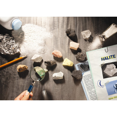 Educational Insights Everyday Uses Rock and Card Set