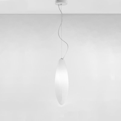 Zaneen Lighting Track Pendant