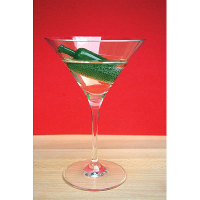 Kikkerland Reusable Ice Cubes Bottles