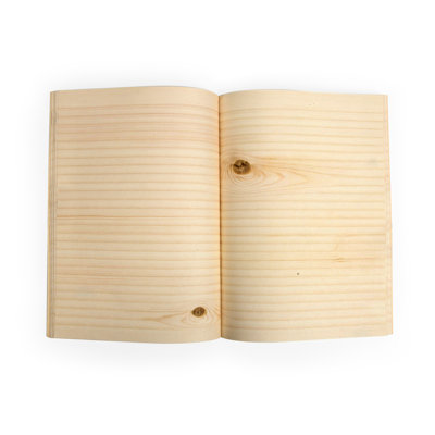 Kikkerland Woodpecker Notebook