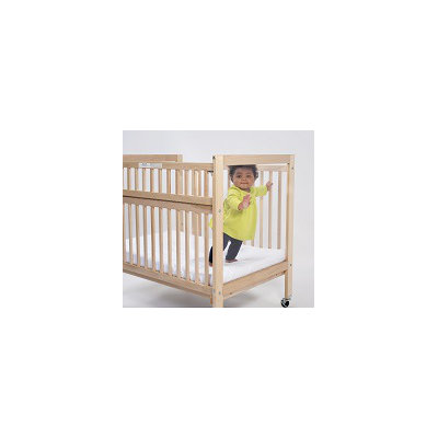 Whitney Brothers Clear View Folding Rail Crib