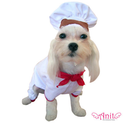 Anit Accessories Chef Dog Costume