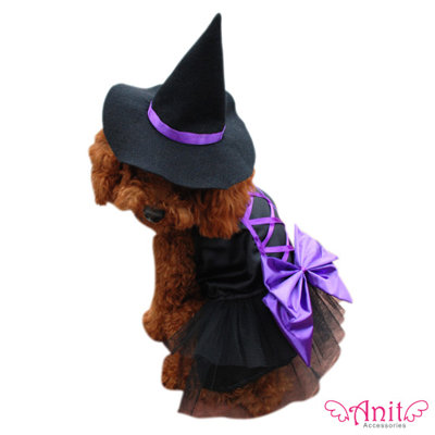 Witch Dog Costume