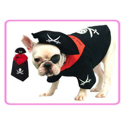 Pirate Dog Costume
