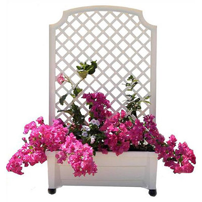 Exaco Calypso Square Planter with Trellis