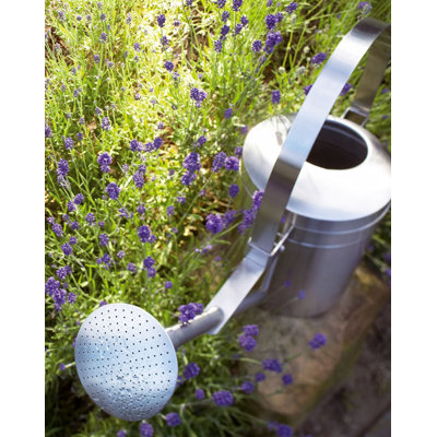 Blomus Aguo Watering Can