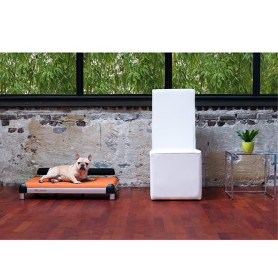 DoggySnooze SnoozeSleeper Dog Bed with Long Legs