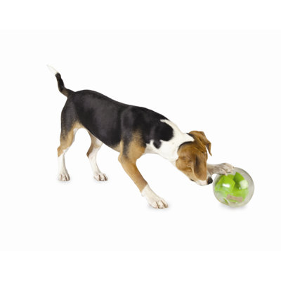 Planet Dog Orbee Tuff Mazee Dog Toy