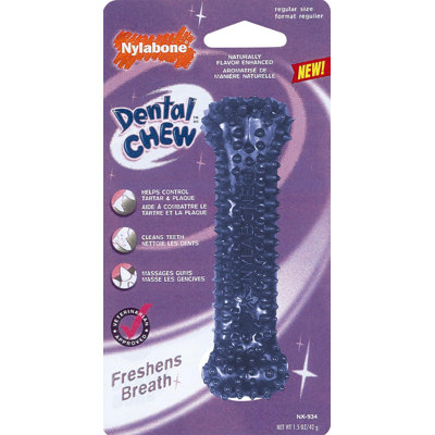 Nylabone Dental Chew Bone Dog Toy