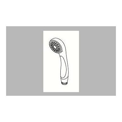 Delta Single Function Hand Shower
