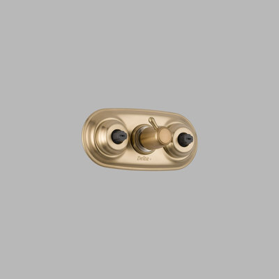 Delta Jetted Module Diverter Trim