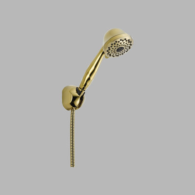Delta Universal Showering Components Wall Mount Handshower Valve