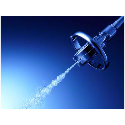 Kohler Flipside Dual Control Four-Function Showerhead
