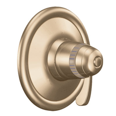 Moen Exact Temp Valve Trim